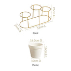 TerraTier Gold Stand With Three White Planters Off White Nestasia