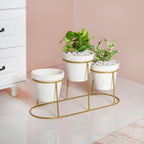TerraTier Gold Stand With Three White Planters Off White Nestasia