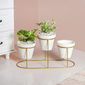 TerraTier Gold Stand With Three White Planters Off White Nestasia