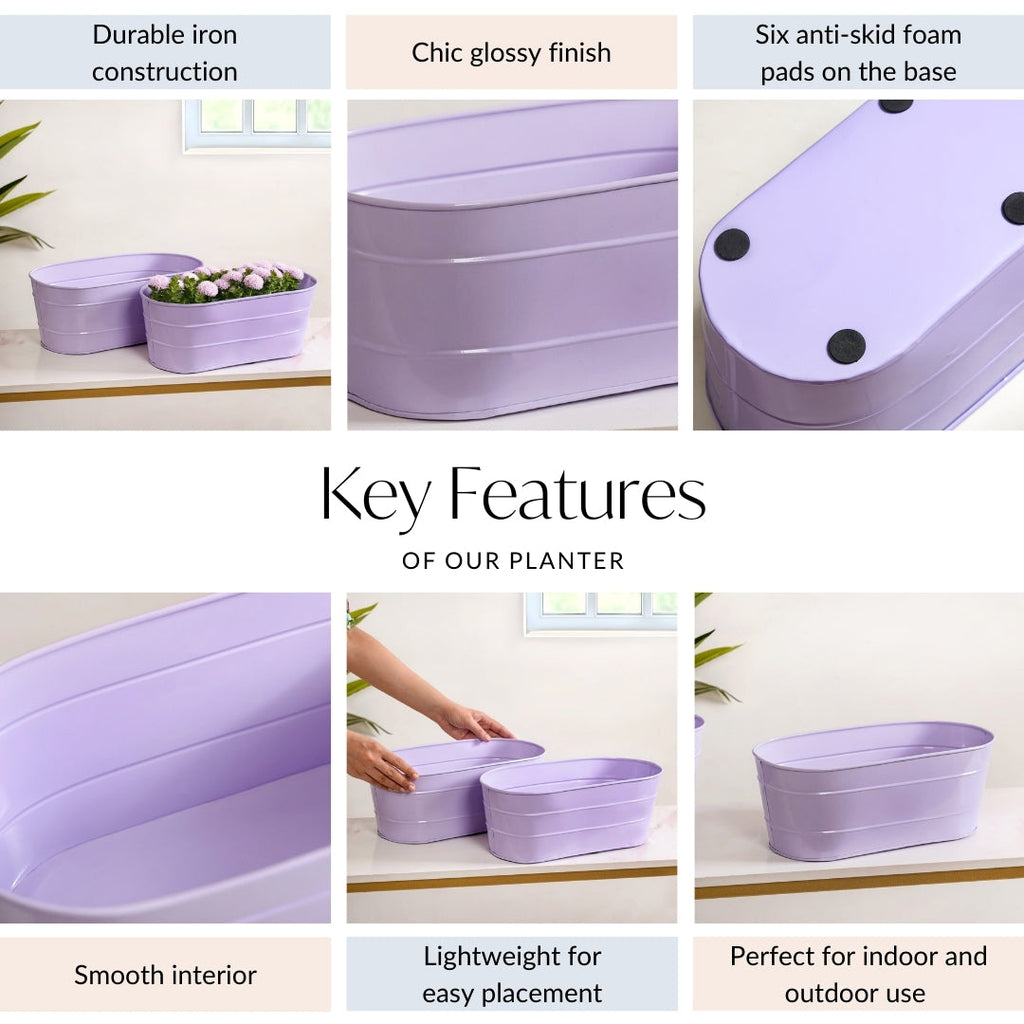 Trough Lined Lavender Oval Plant Holder Set Of 2 Nestasia