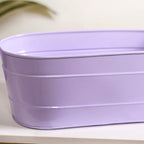 Trough Lined Lavender Oval Plant Holder Set Of 2 Nestasia
