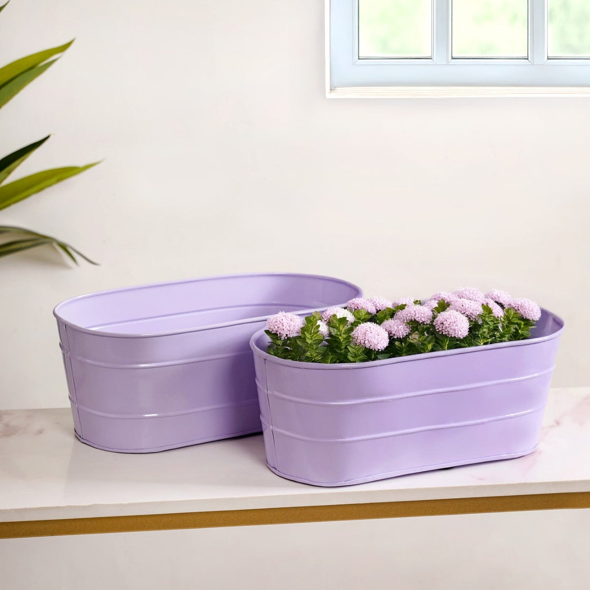 Trough Lined Lavender Oval Plant Holder Set Of 2 Nestasia