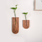 U Shaped Hydroponic Test Tube Wall Planter Set Of 2 Nestasia