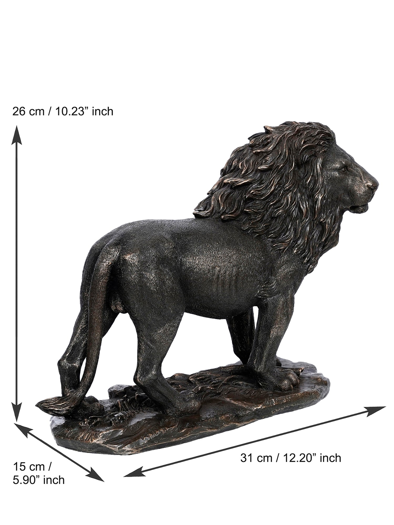 Polyresin and Bronze Black Carved Brave Lion Showpiece Decorative Animal Figurine Kafalo