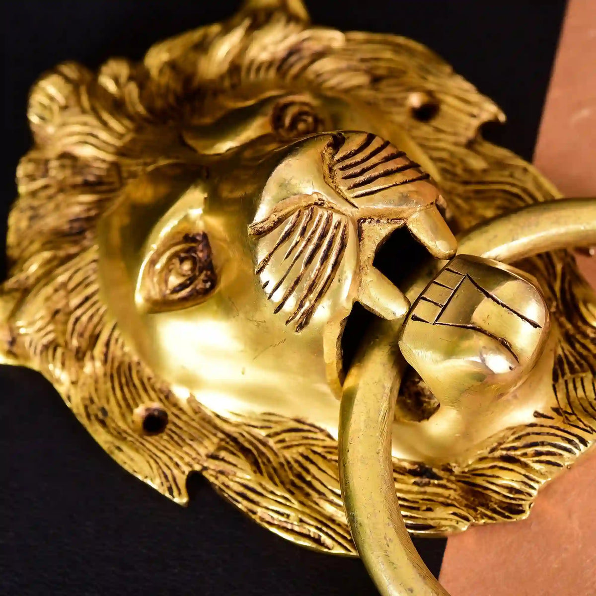 Brass Lion Door Knocker Vedansh Craft