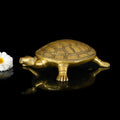 Brass Tortoise Figuruine Vastu/Feng Shui (2.5 Inch) Vedansh Craft