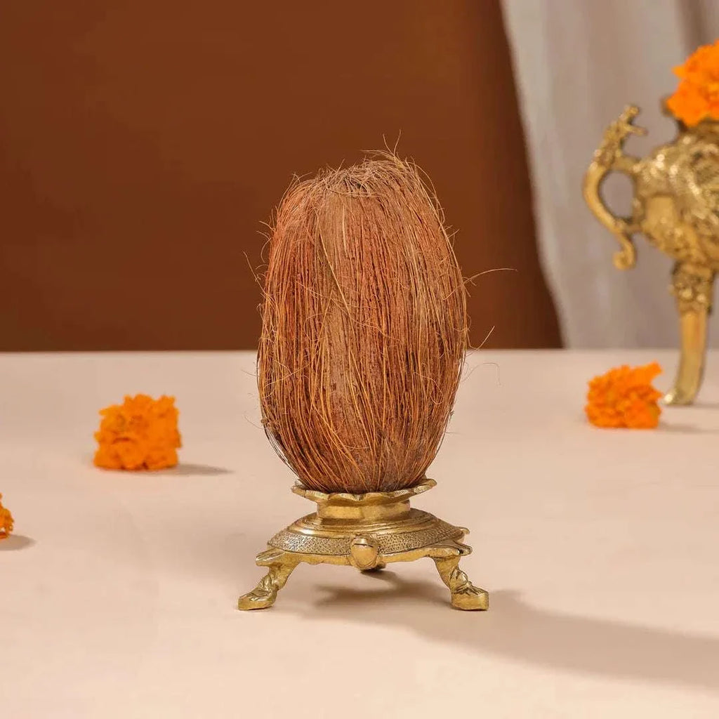 Brass Tortoise Conch Stand (2 Inch) Vedansh Craft