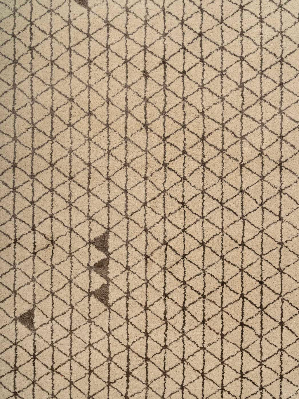 Eloise Wool Tufted Carpet Contrast Living
