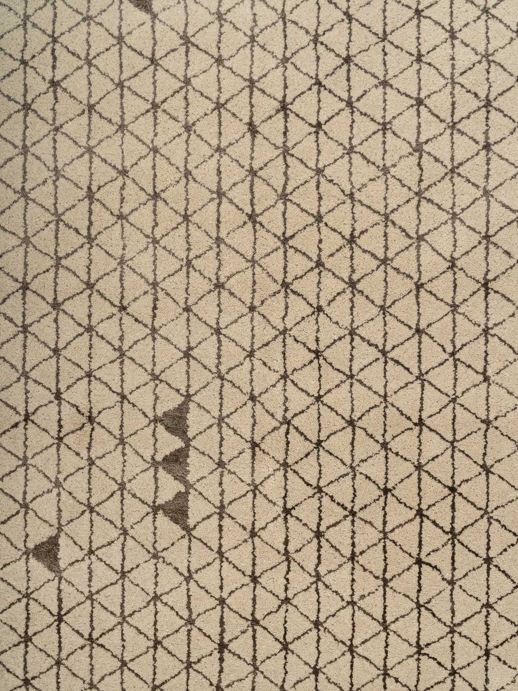 Eloise Wool Tufted Carpet Contrast Living