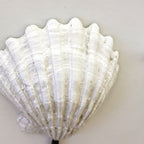 Wall Hooks - Set of 3 Nestasia