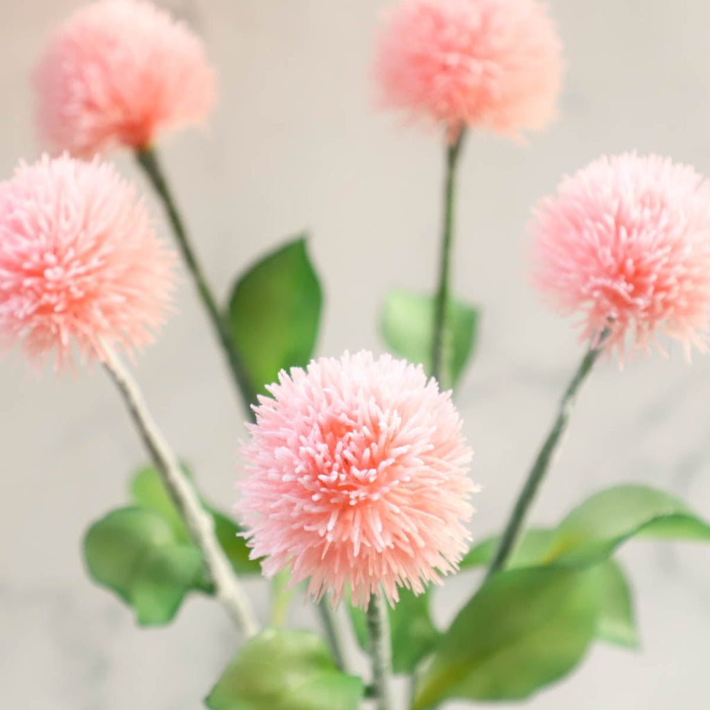 Wild Flower Nestasia