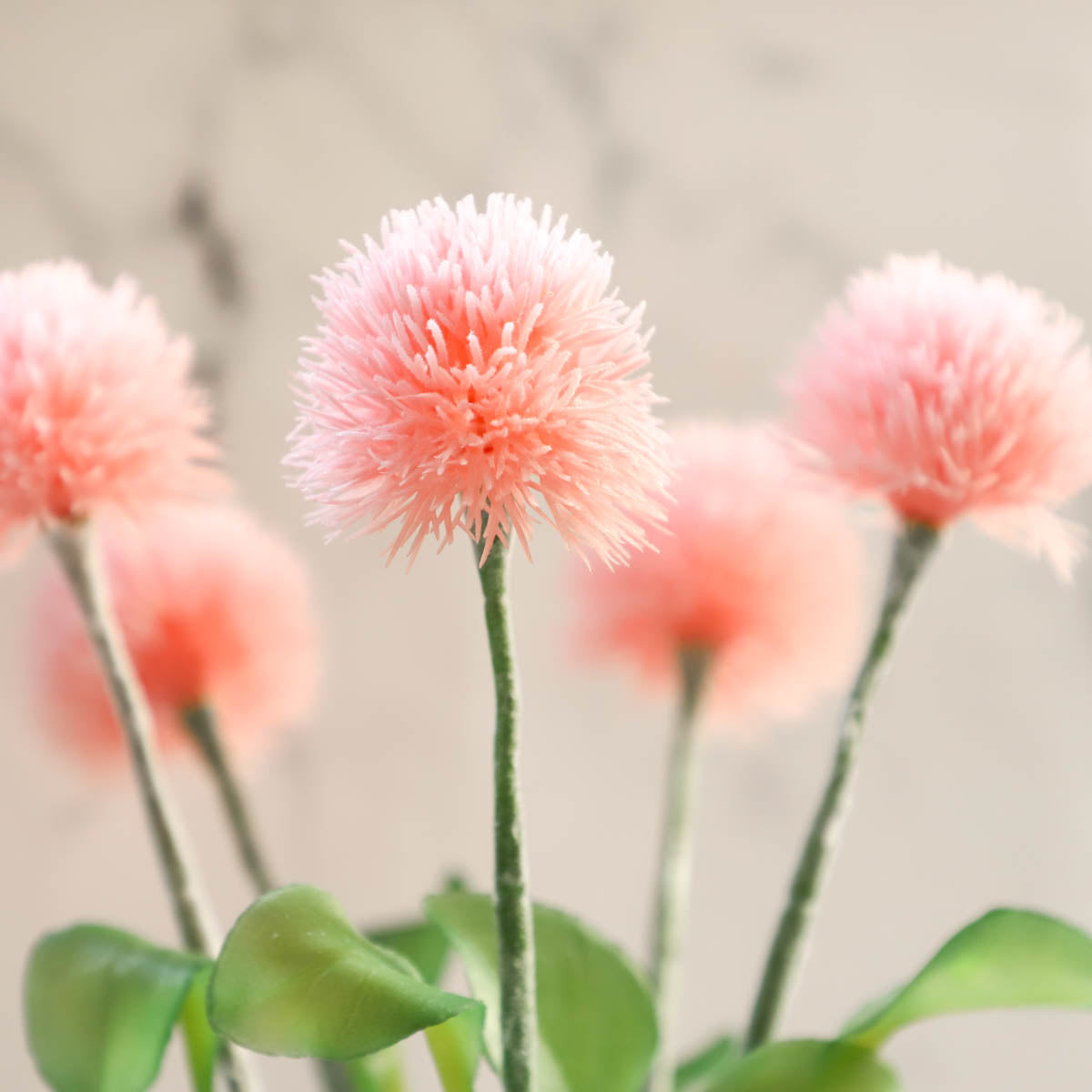Wild Flower Nestasia