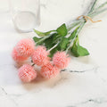 Wild Flower Nestasia
