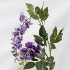 Wisteria Flower Nestasia
