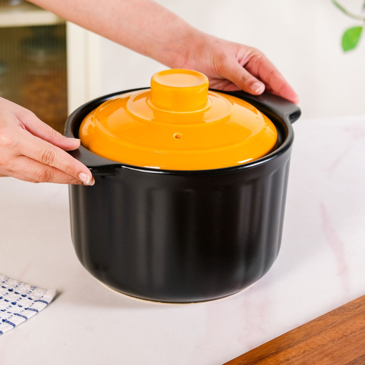 Ceramic Braising Cookpot 3800ml Nestasia