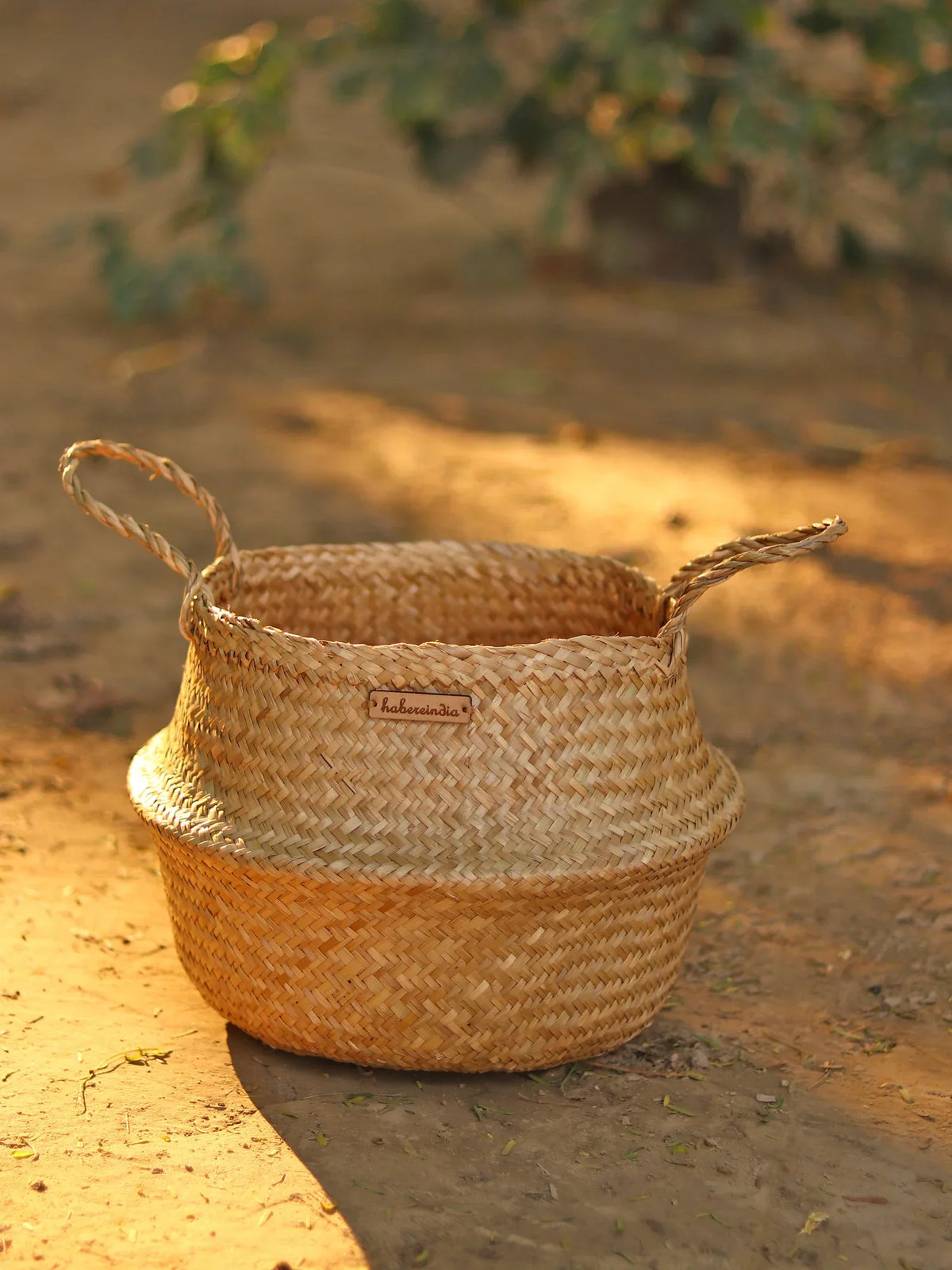 Stylish Belly Planter Basket for Modern Home Decor