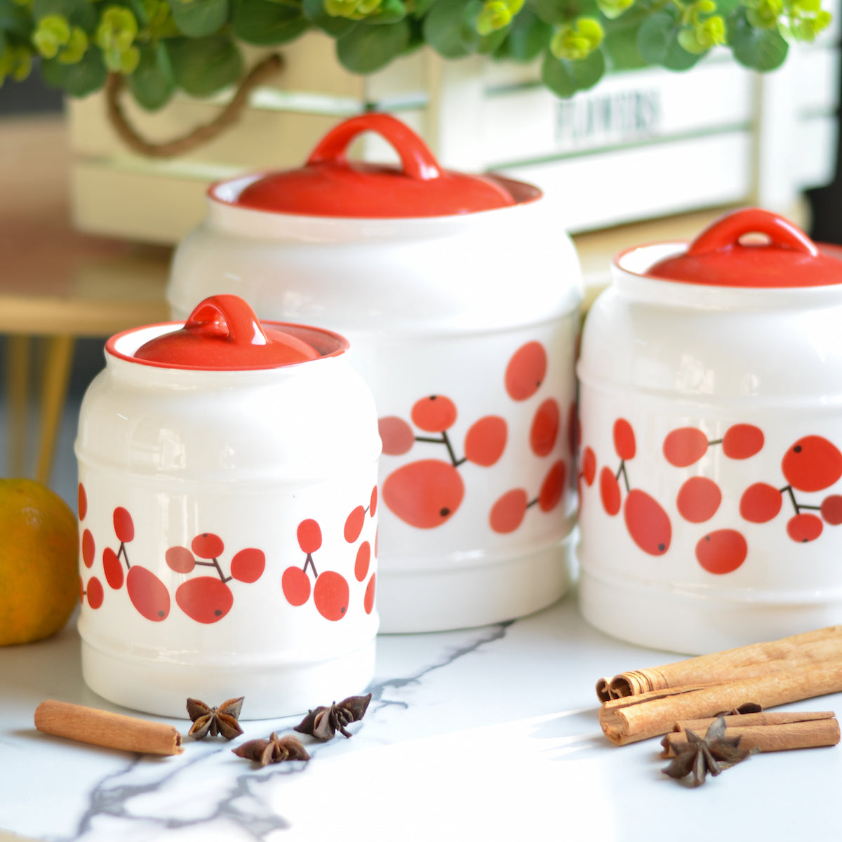 Airtight Jars Red Nestasia