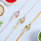 Blossom Encased Reverie Rakhi Bracelet Set Nestasia