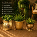 Brass Bucket Planter Pot Vedansh Craft