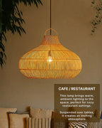 Chic Ceiling Light for Living Room and Minimalist Home Decor