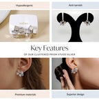 Clustered Prism Studs Silver Nestasia
