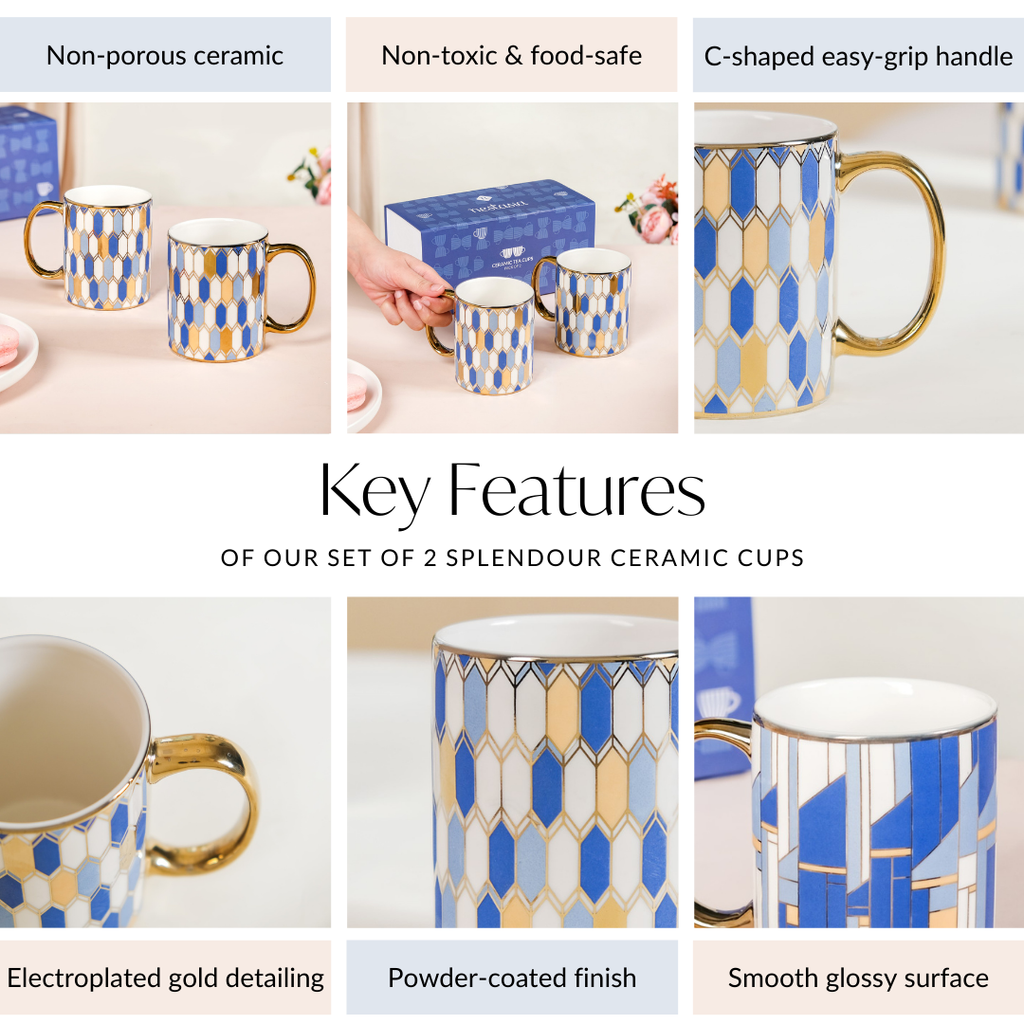 Set Of 2 Splendour Ceramic Mugs With Gift Box 350ml Nestasia