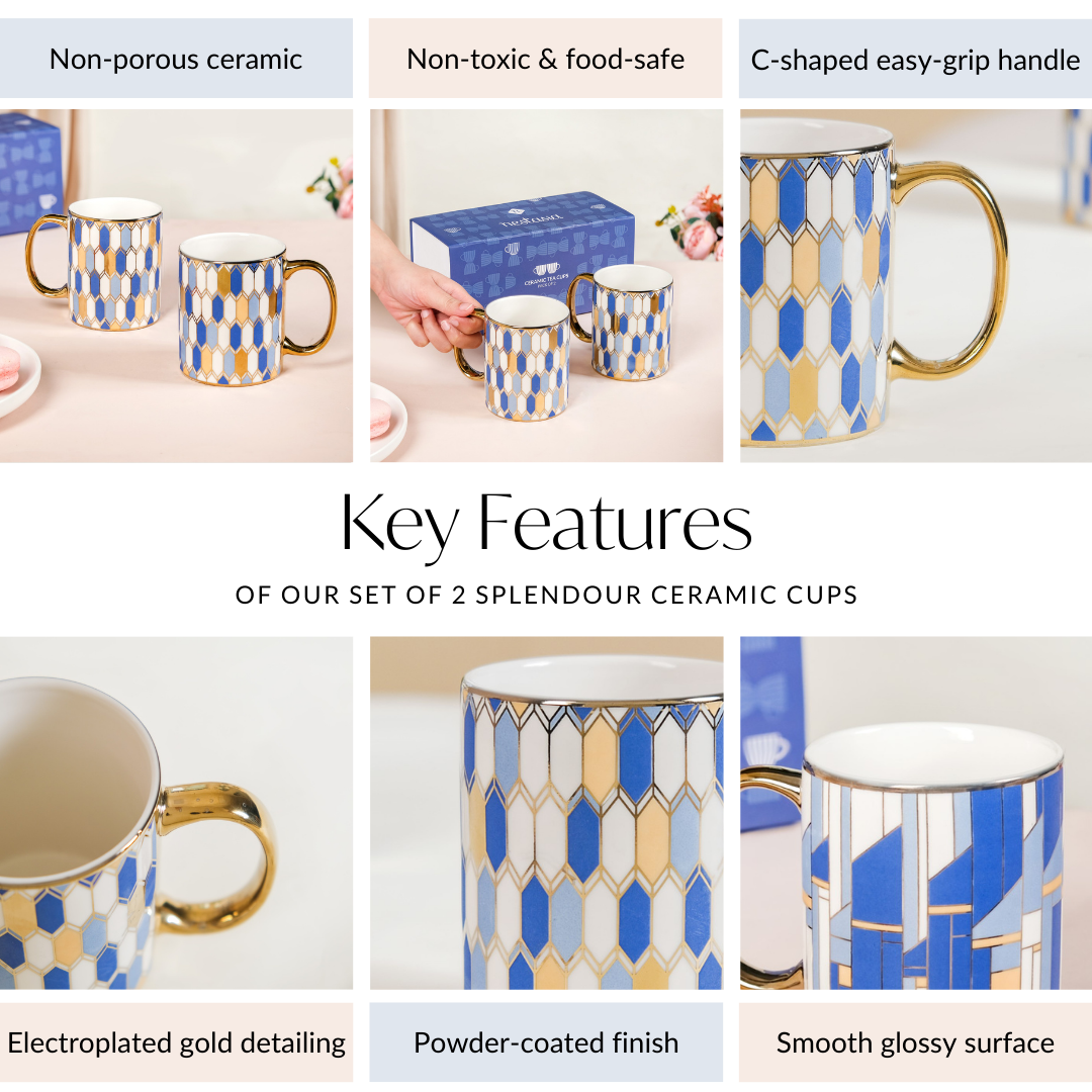 Set Of 2 Splendour Ceramic Mugs With Gift Box 350ml Nestasia