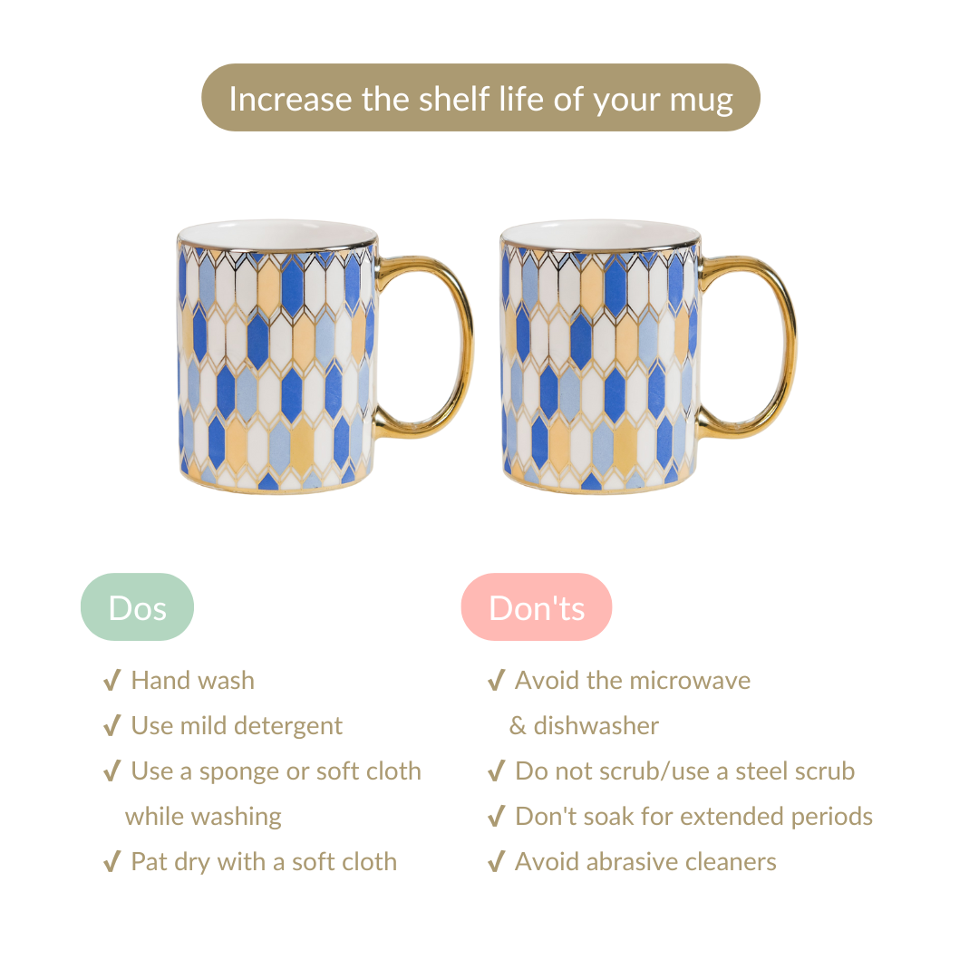 Set Of 2 Splendour Ceramic Mugs With Gift Box 350ml Nestasia