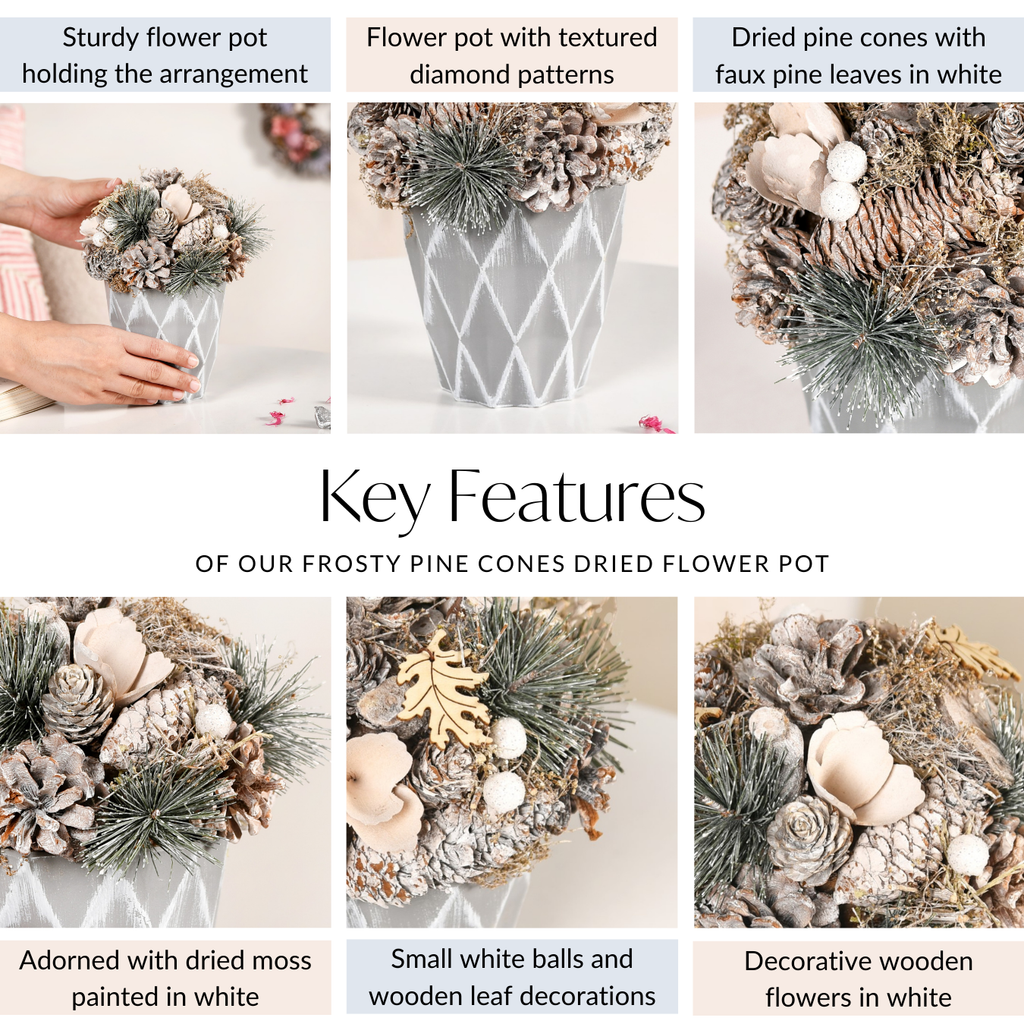 Frosty Pine Cones Dried Flower Pot Nestasia