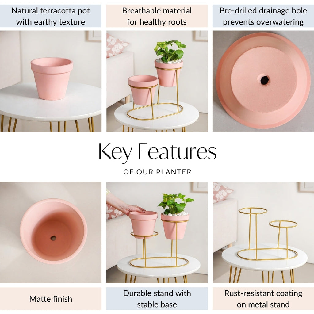 TerraDuo Decorative Planters With Two Tier Gold Stand Pink Nestasia