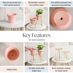 TerraDuo Decorative Planters With Two Tier Gold Stand Pink Nestasia