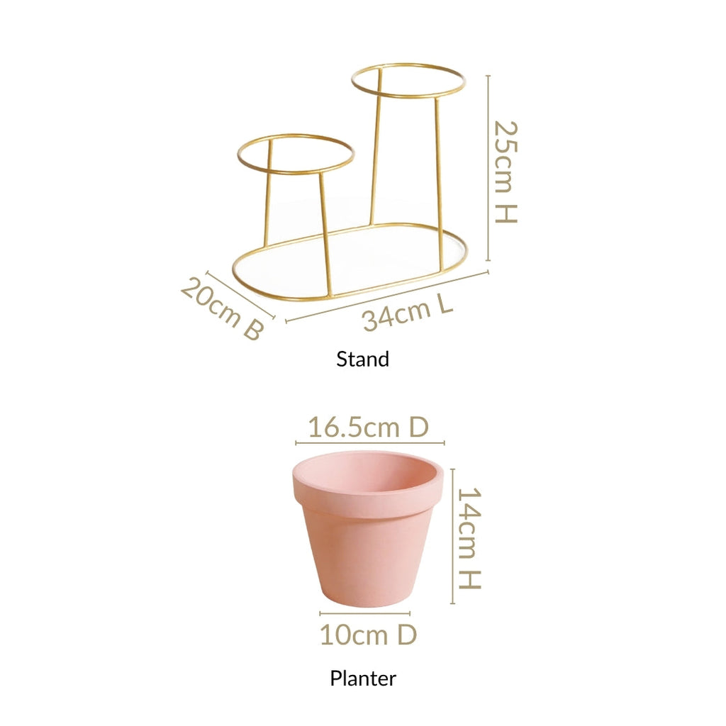 TerraDuo Decorative Planters With Two Tier Gold Stand Pink Nestasia