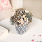 Frosty Pine Cones Dried Flower Pot Nestasia