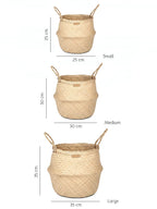 Stylish Belly Planter Basket for Modern Home Decor