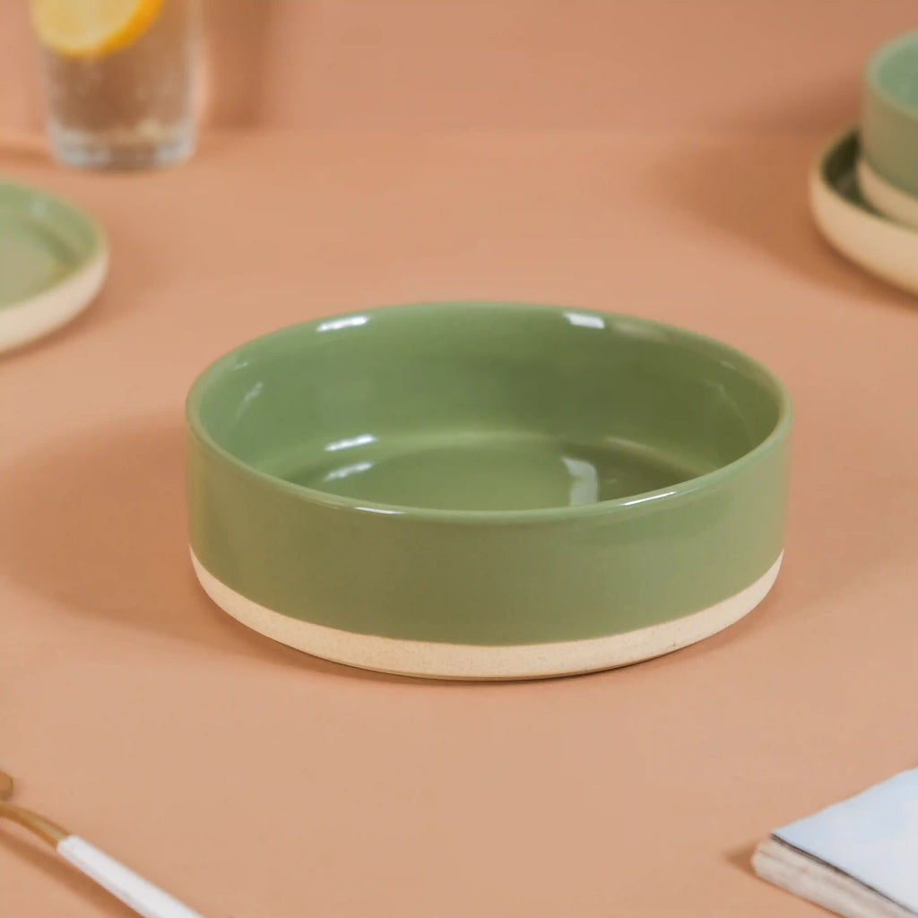 Earthy 22 Piece Dinner Set For 6 Sage Green Nestasia