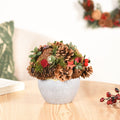 Holiday Delight Decorative Flower Pot Nestasia