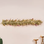 Pink Eco Friendly Decorative Dried Flower Set Of 2 Nestasia