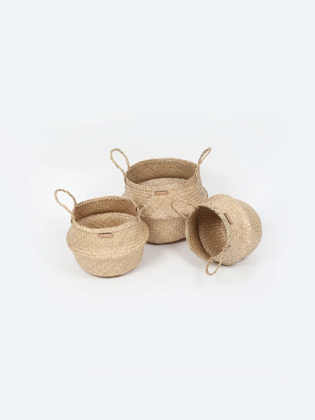 Stylish Belly Planter Basket for Modern Home Decor