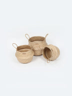 Stylish Belly Planter Basket for Modern Home Decor