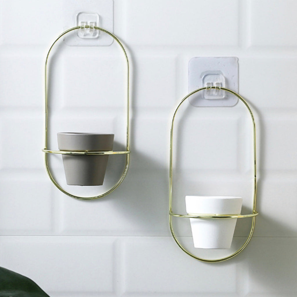 Hanging Planter White Nestasia
