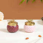 Festive Jar Dry Fruits Gift Hamper Set of 4 Nestasia