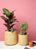 Set of 2 Textured Jute Basket for Plants & Everyday Clutter