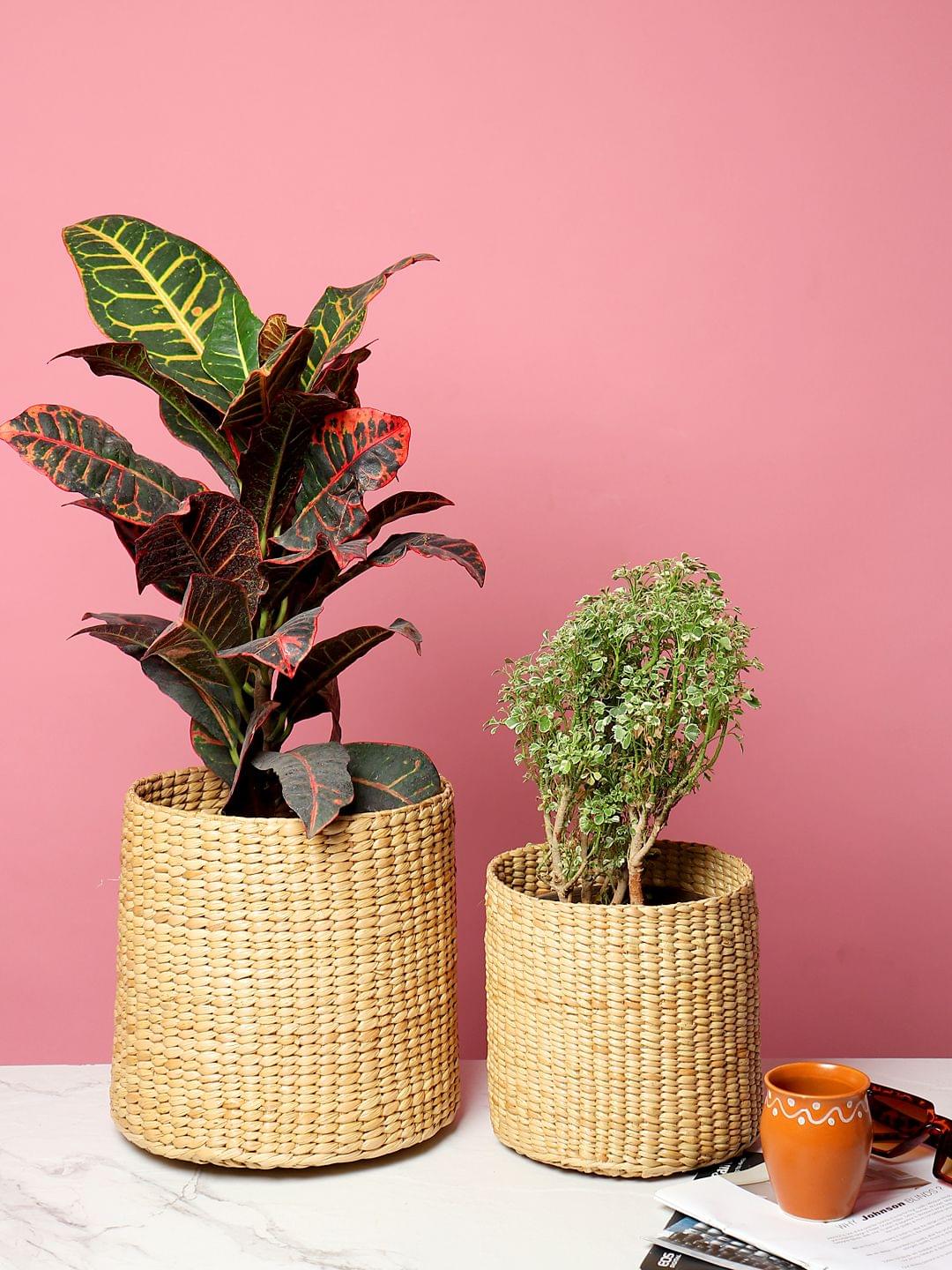 Set of 2 Textured Jute Basket for Plants & Everyday Clutter