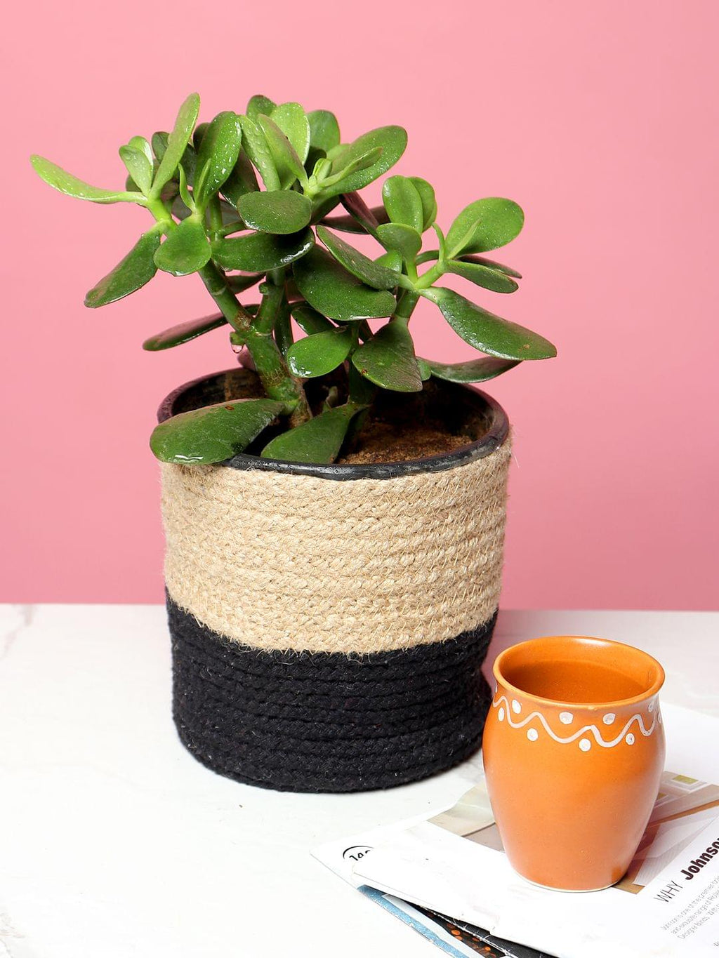 Set of 2 Neutral Jute Basket for Plants and Organizing Needs