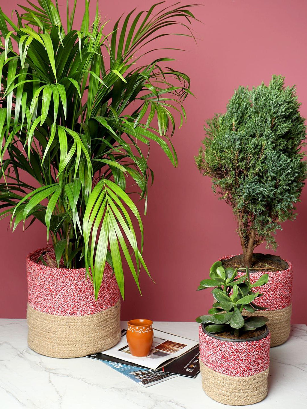 Handcrafted Set of 3 Jute Basket for Plants or Organizing