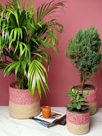 Handcrafted Set of 3 Jute Basket for Plants or Organizing
