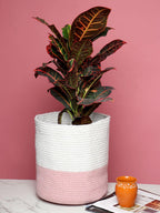 Set of 3 Dual-Use Cotton Basket for Home Decor & Storage