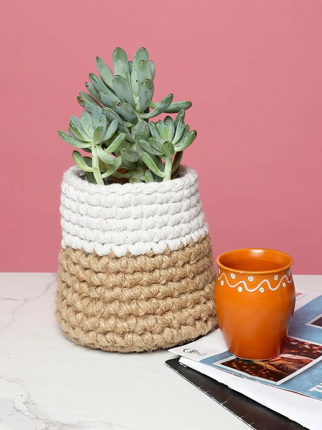 Set of 2 Versatile Jute Basket for Decor, Plants, and More