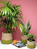 Rustic Set of 3 Jute Planter Basket for Versatile Home Use