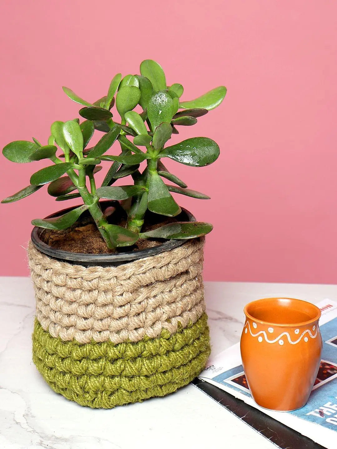 Rustic Set of 3 Jute Planter Basket for Versatile Home Use